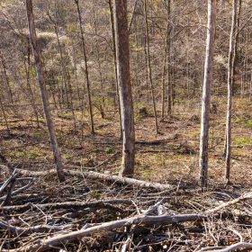 Creek Hollow Phase I Tract 34 in Rockcastle County, KY
