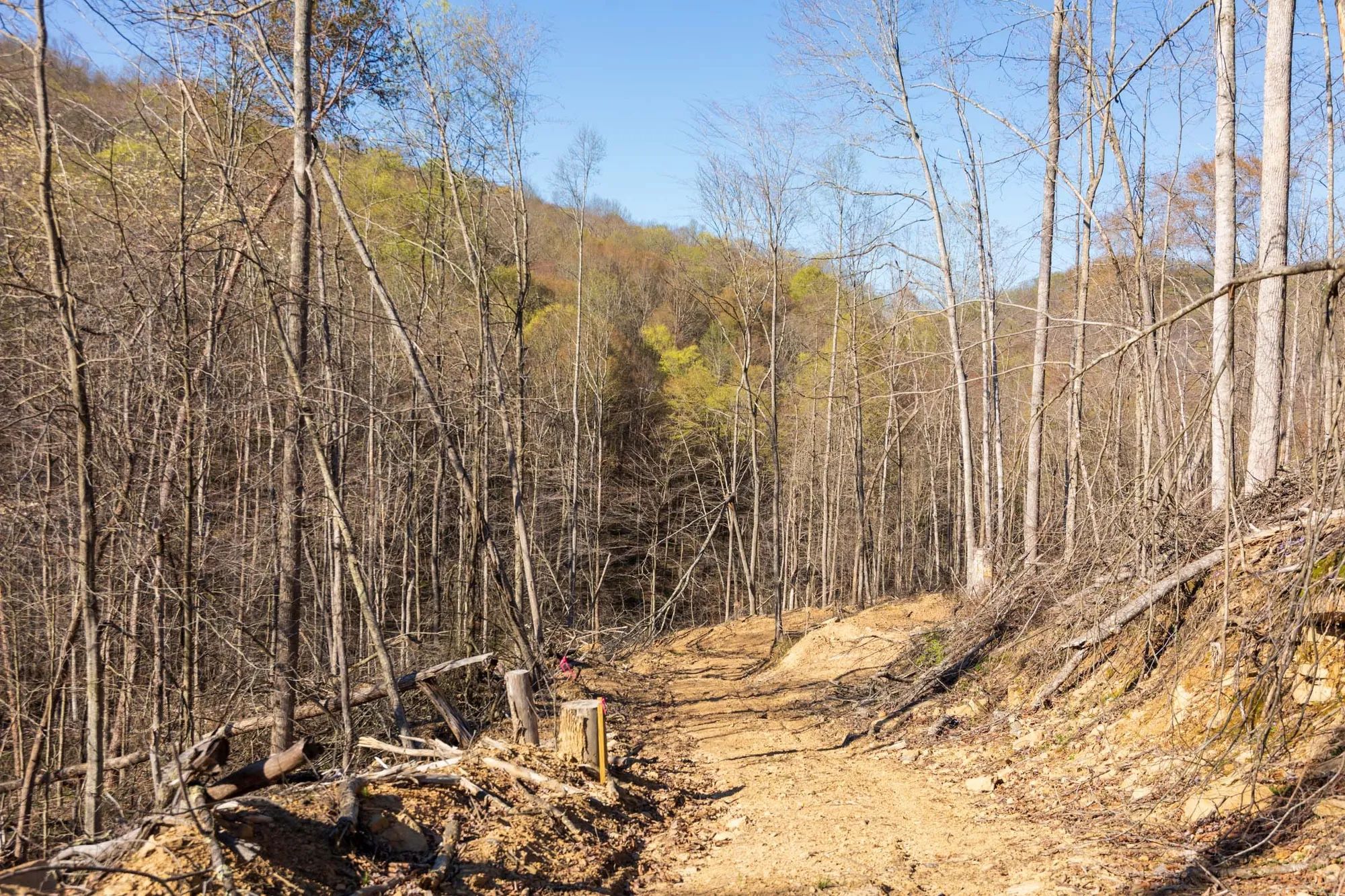 Creek Hollow Phase I Tract 34 in Rockcastle County, KY