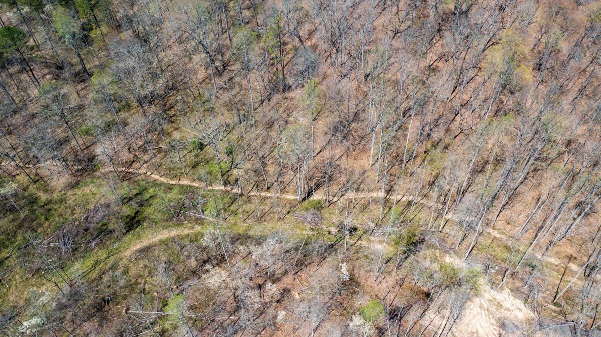 Decorative background for Creek Hollow Phase I Tract 34 image 9