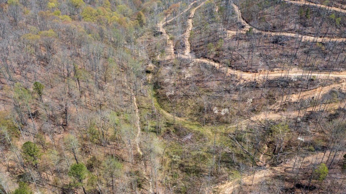 Decorative background for Creek Hollow Phase I Tract 34 image 11