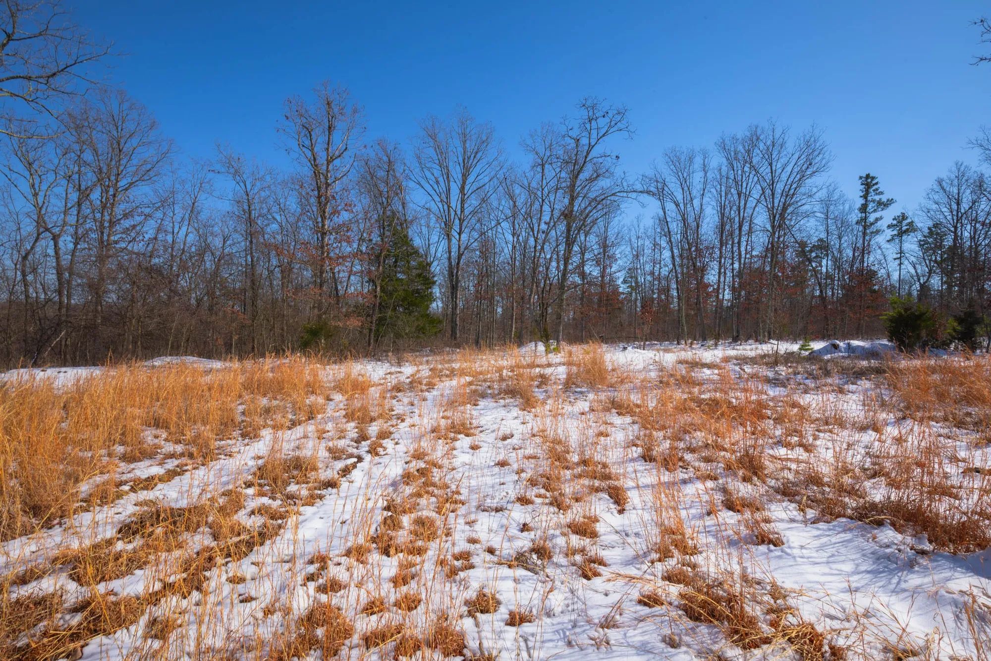 Sleepy Hollow Phase I Tract 53 in Texas County, MO