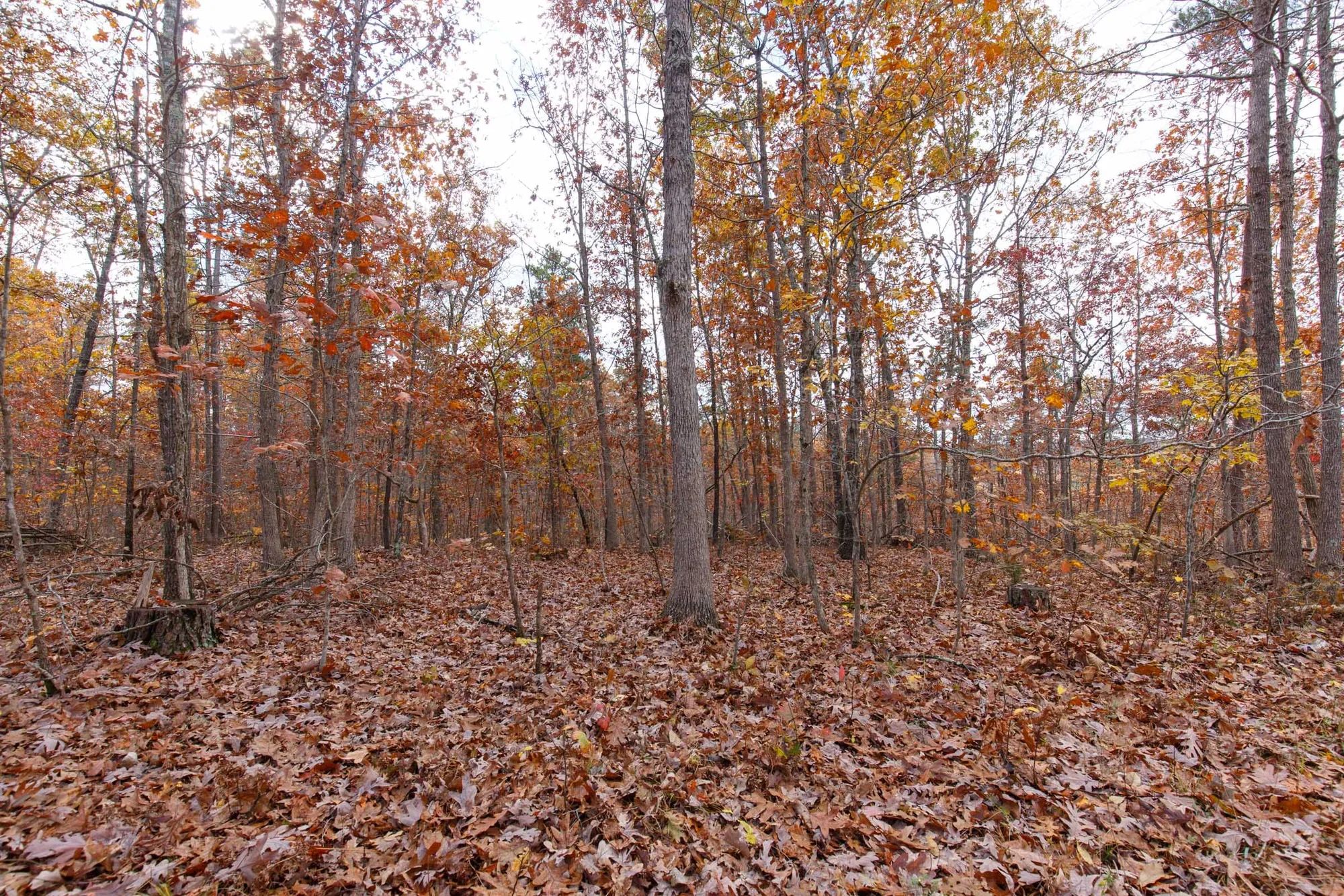Hawkcrest Tract 39 in Reynolds County, MO