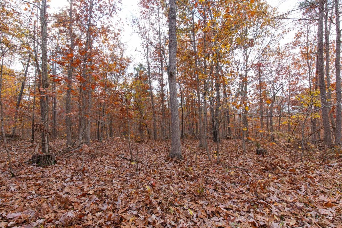 Hawkcrest Tract 39 - Image 2