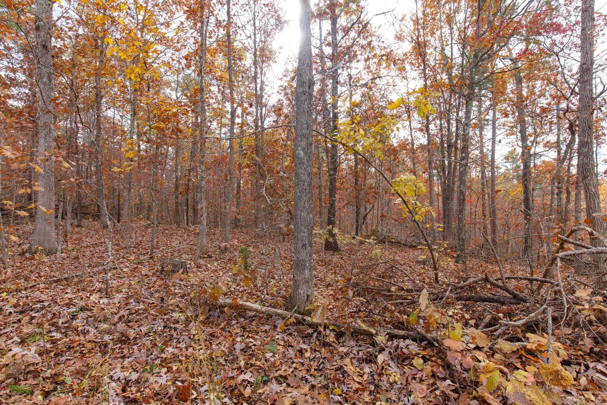 Hawkcrest Tract 39 in Reynolds County, MO