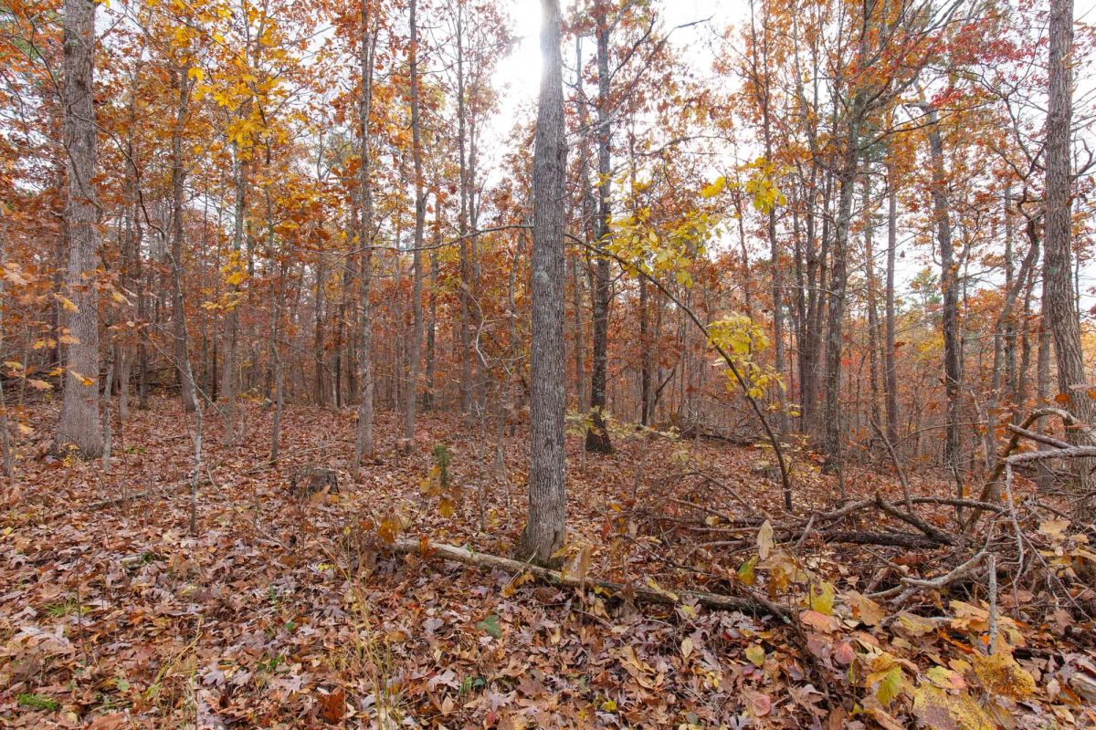 Hawkcrest Tract 39 - Image 3