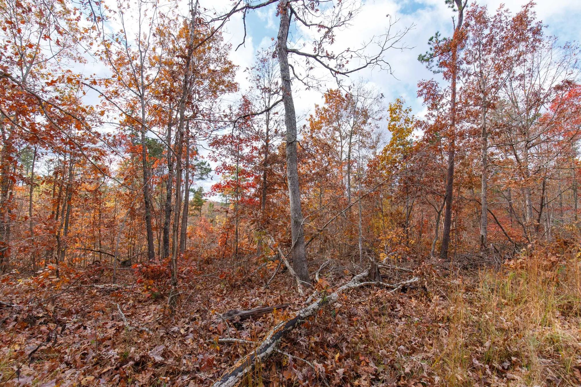 Hawkcrest Tract 39 in Reynolds County, MO