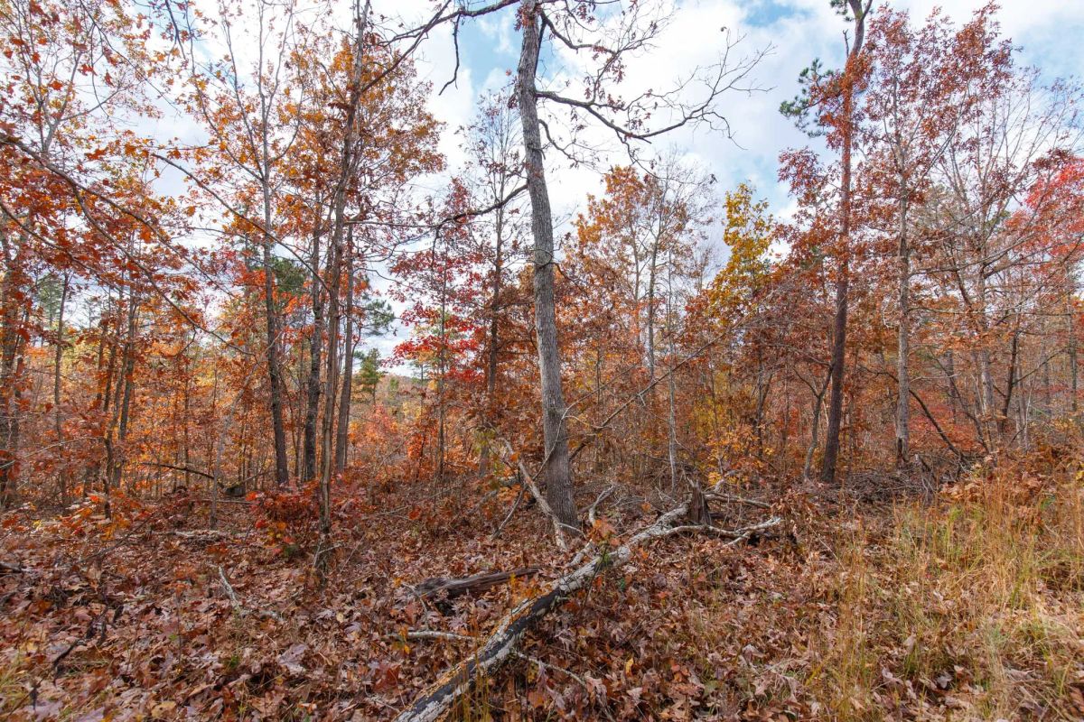 Hawkcrest Tract 39 - Image 4