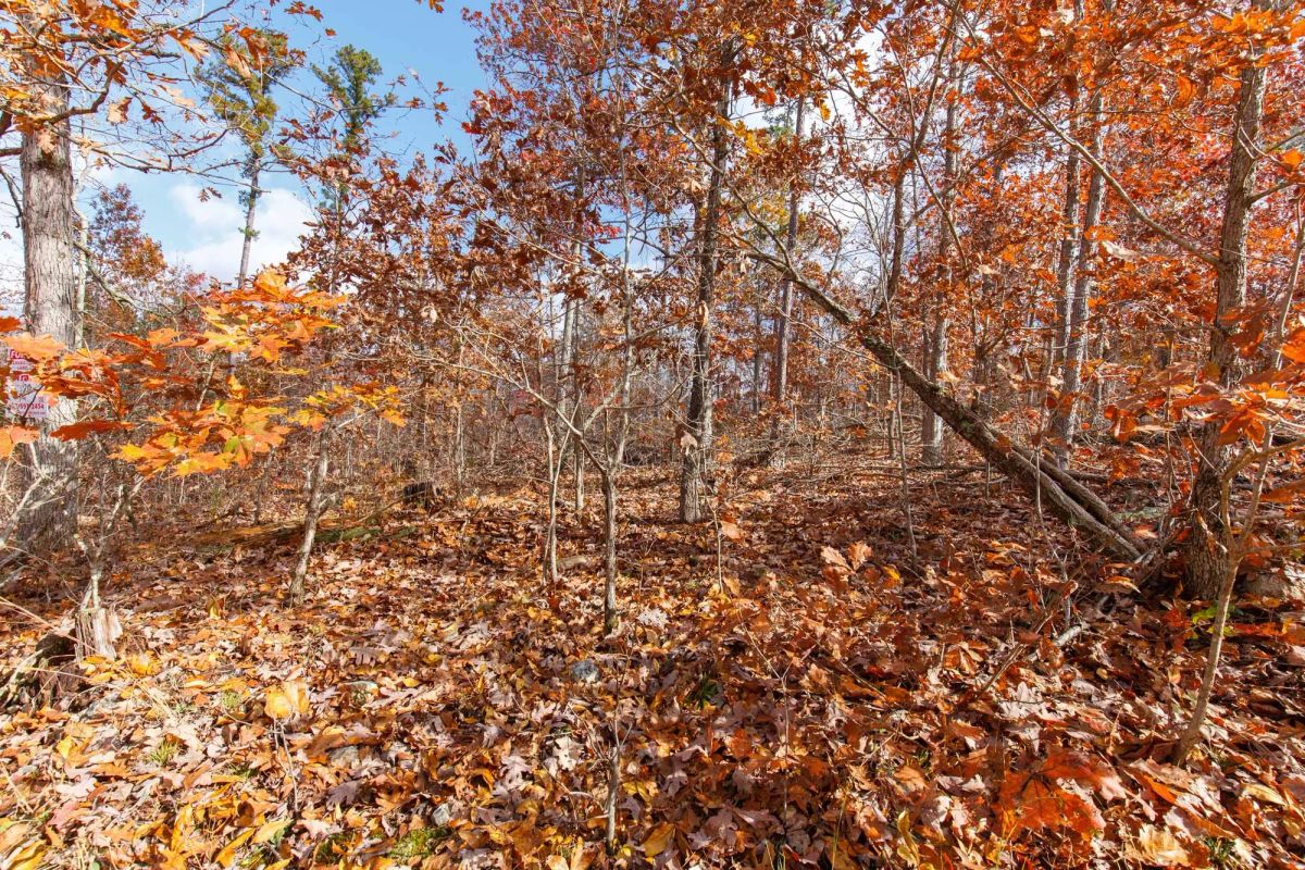 Decorative background for Hawkcrest Tract 39 image 9