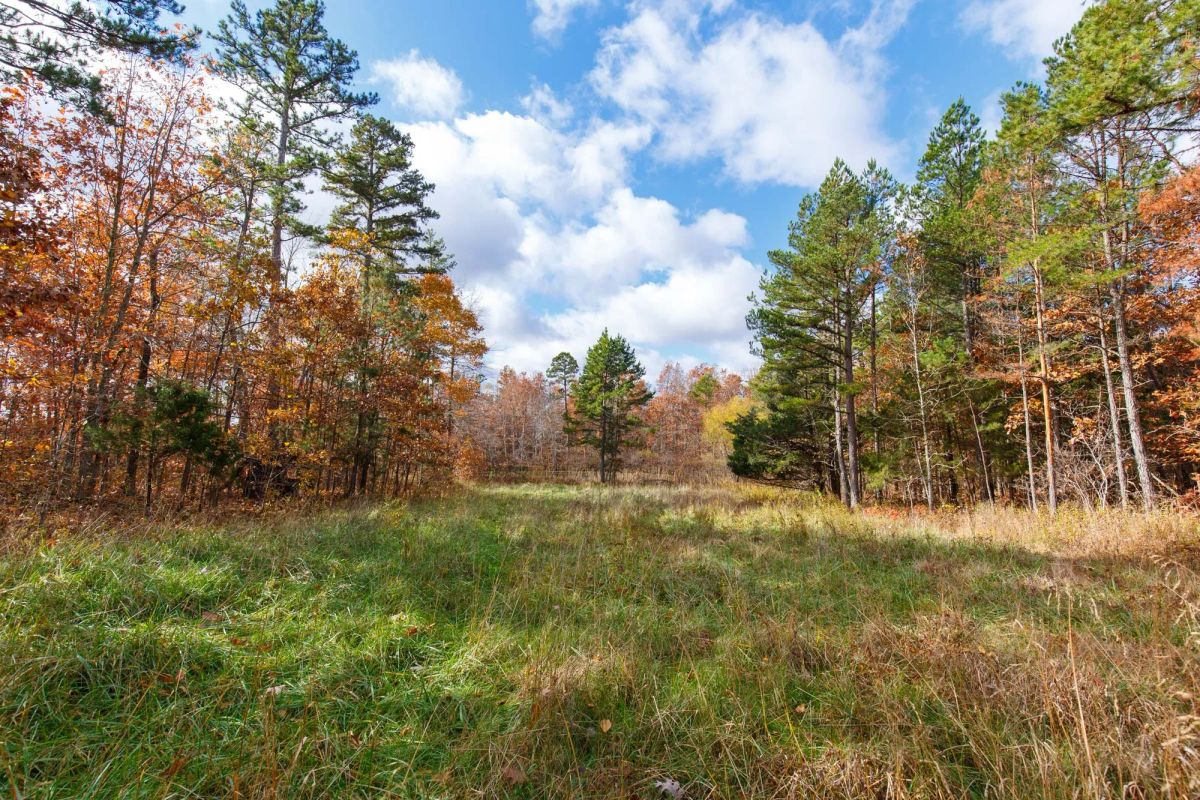 Decorative background for Hawkcrest Tract 39 image 11