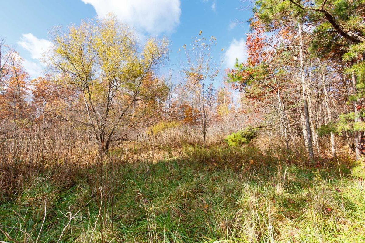 Decorative background for Hawkcrest Tract 39 image 12