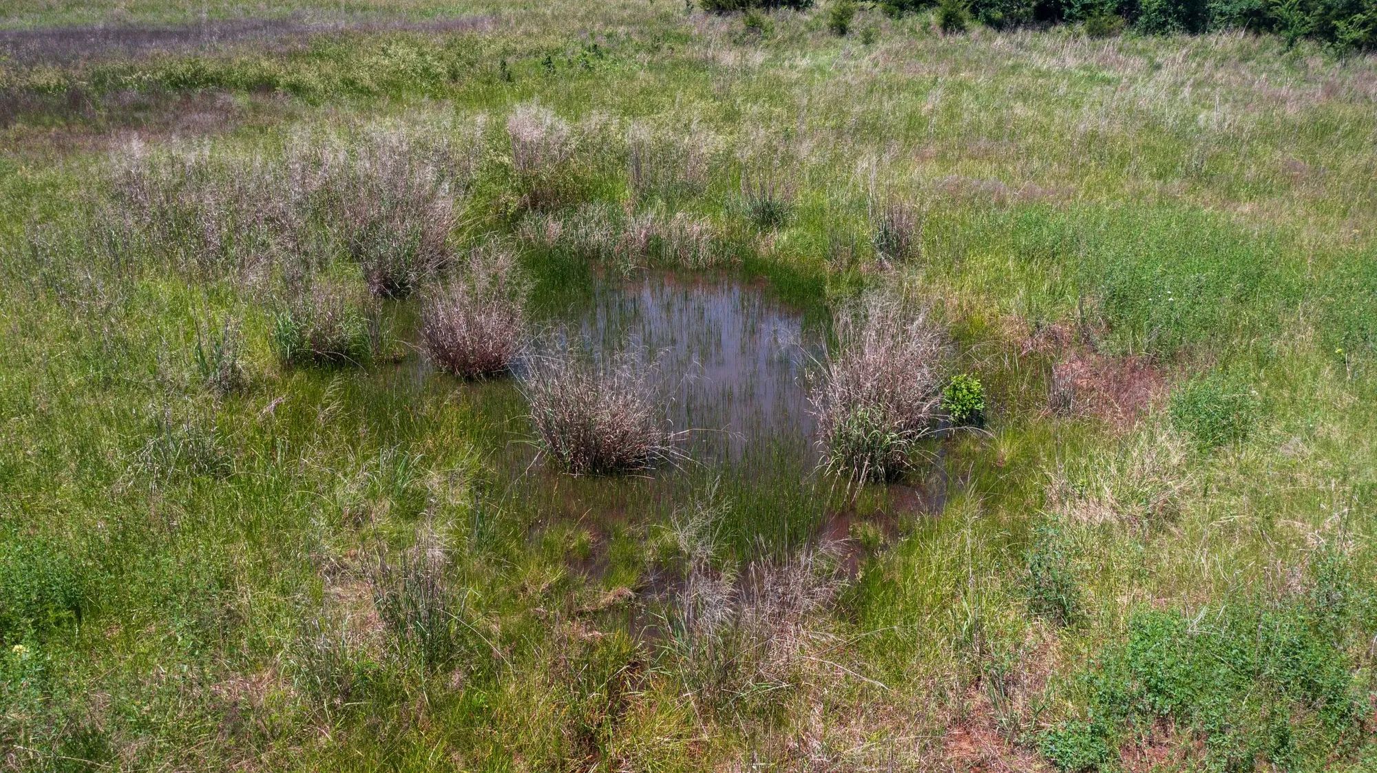 Prairie Grove Tract 26 in Okfuskee County, OK