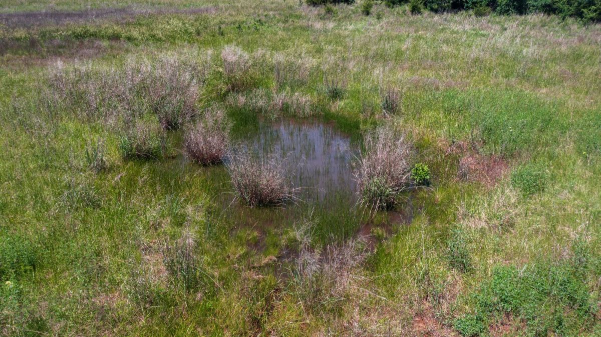 Prairie Grove Tract 26 - Image 2