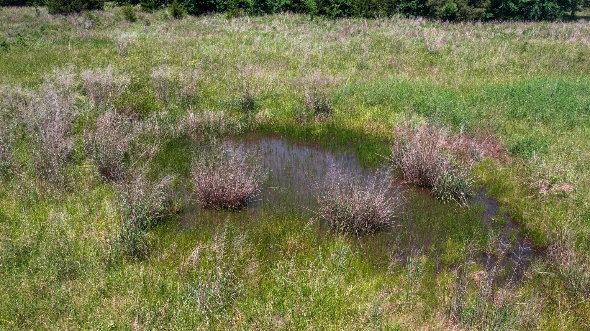 Prairie Grove Tract 26 in Okfuskee County, OK