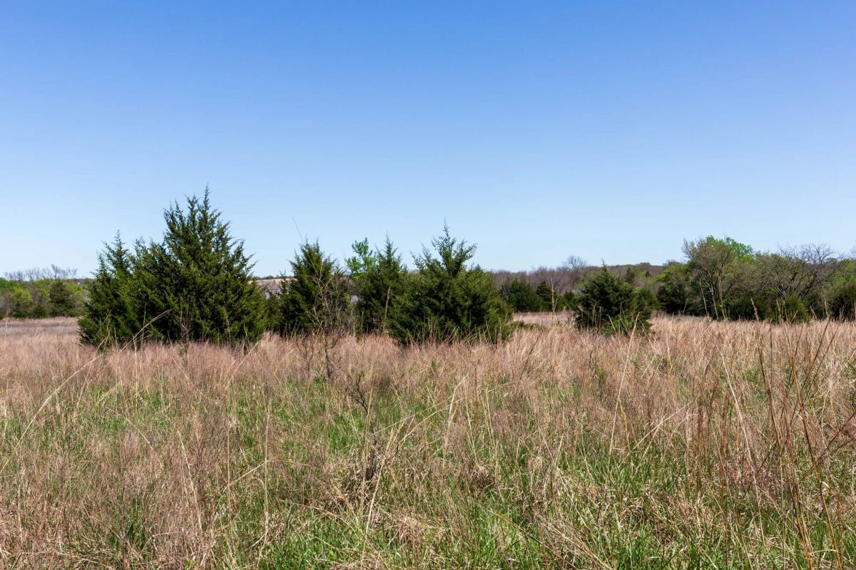 Decorative background for Prairie Grove Tract 26 image 5