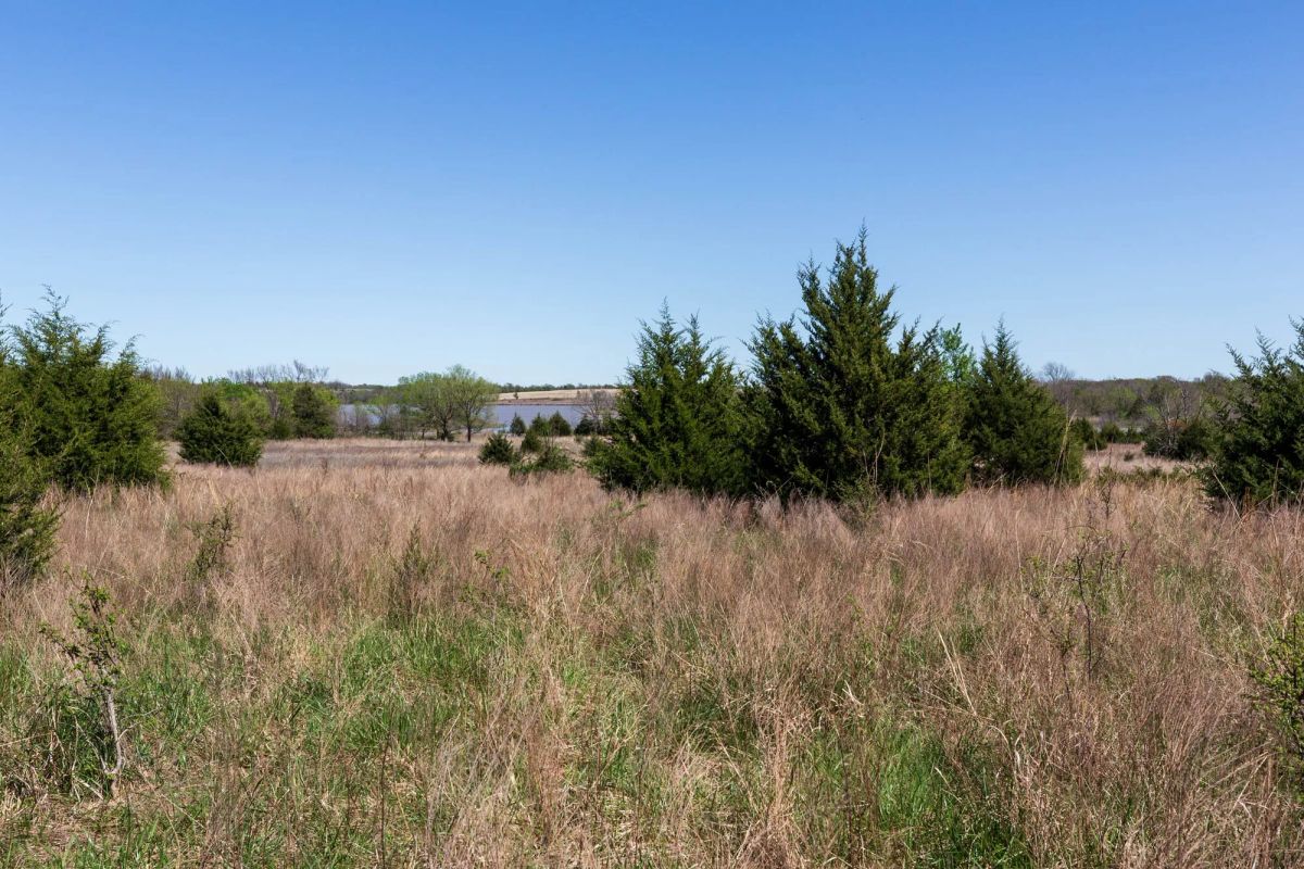 Decorative background for Prairie Grove Tract 26 image 7