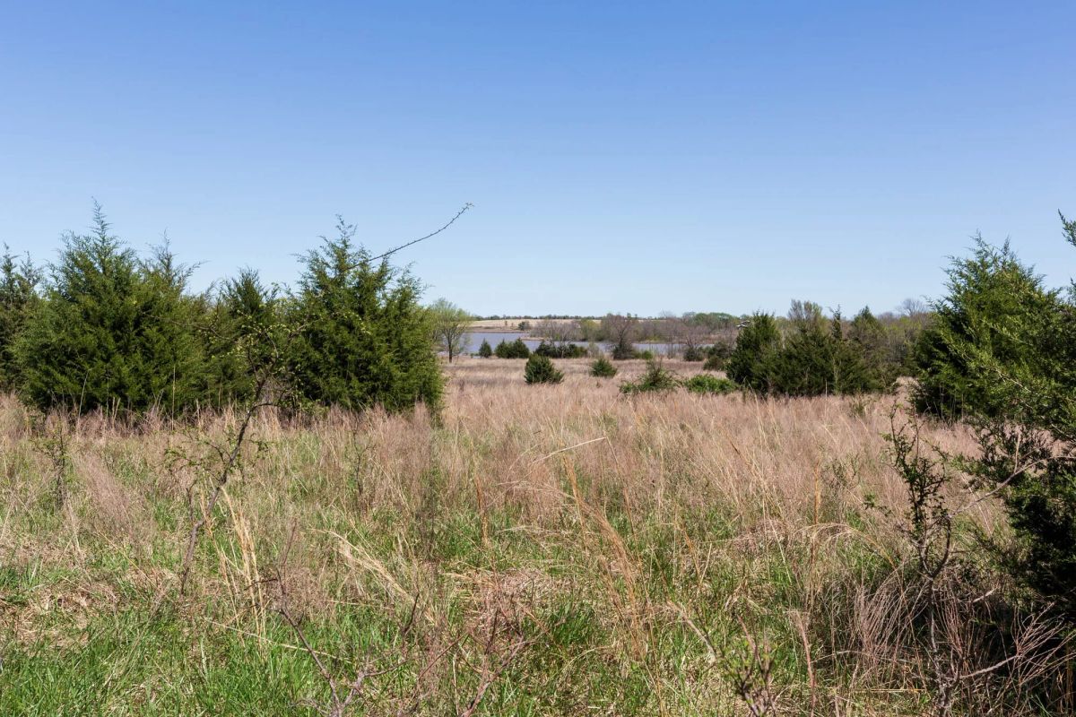 Decorative background for Prairie Grove Tract 26 image 8