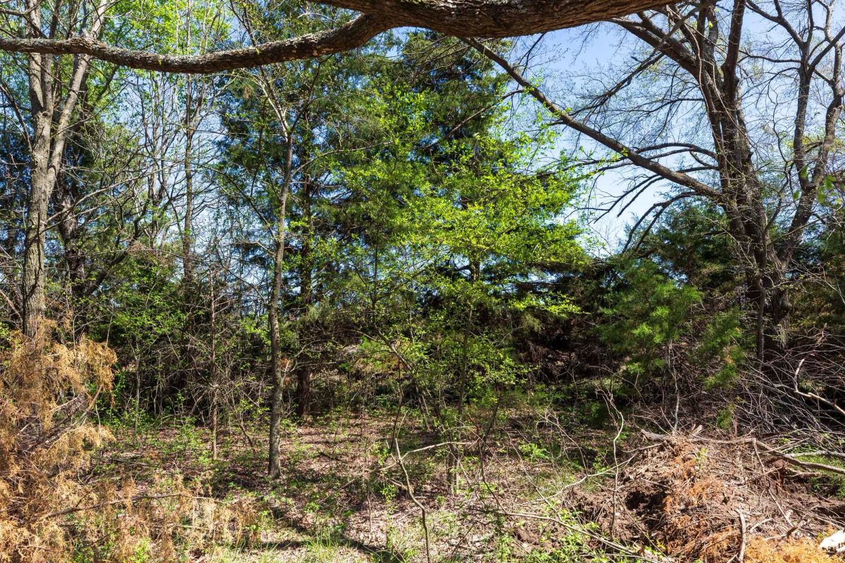 Decorative background for Prairie Grove Tract 26 image 12