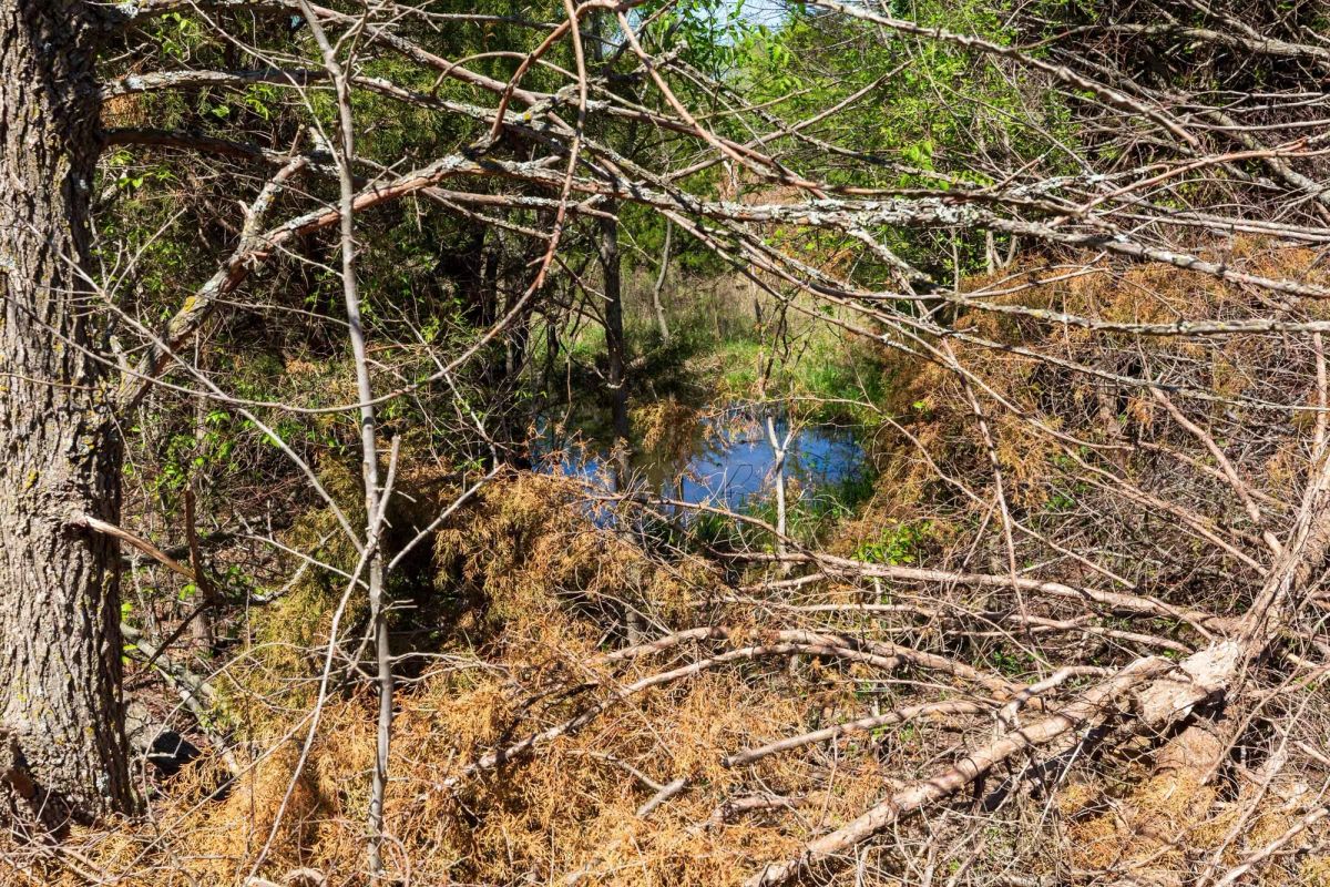 Decorative background for Prairie Grove Tract 26 image 15