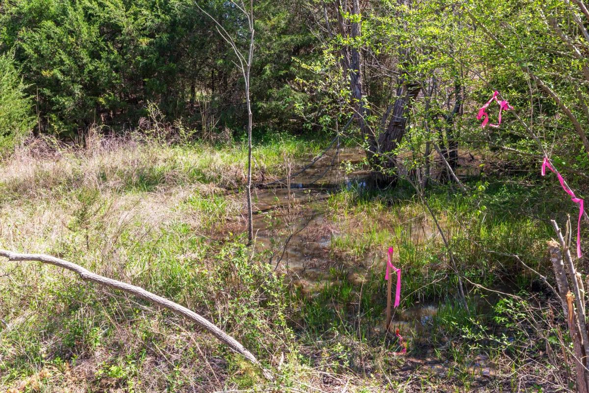 Decorative background for Prairie Grove Tract 26 image 16