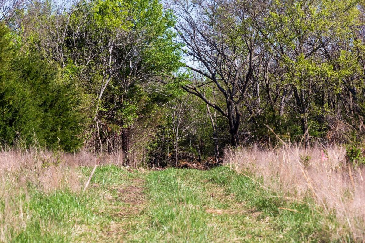 Decorative background for Prairie Grove Tract 26 image 17