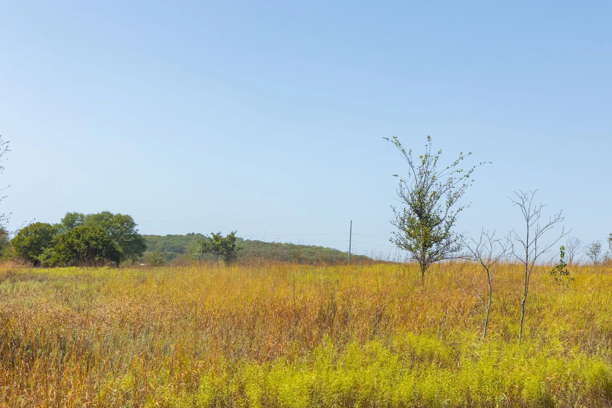 Gracyn Meadows Tract 7 in Okfuskee County, OK