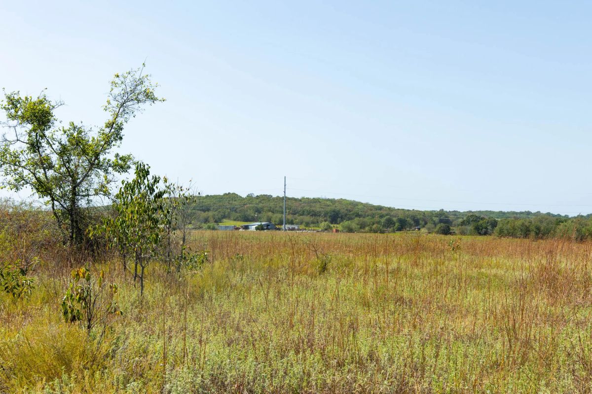 Decorative background for Gracyn Meadows Tract 7 image 5