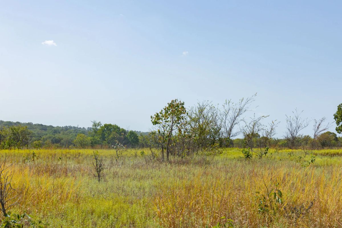 Decorative background for Gracyn Meadows Tract 7 image 10