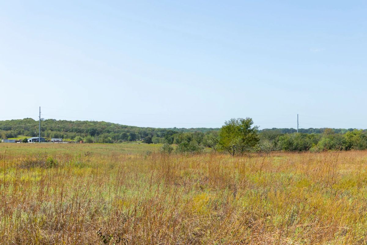 Decorative background for Gracyn Meadows Tract 7 image 11