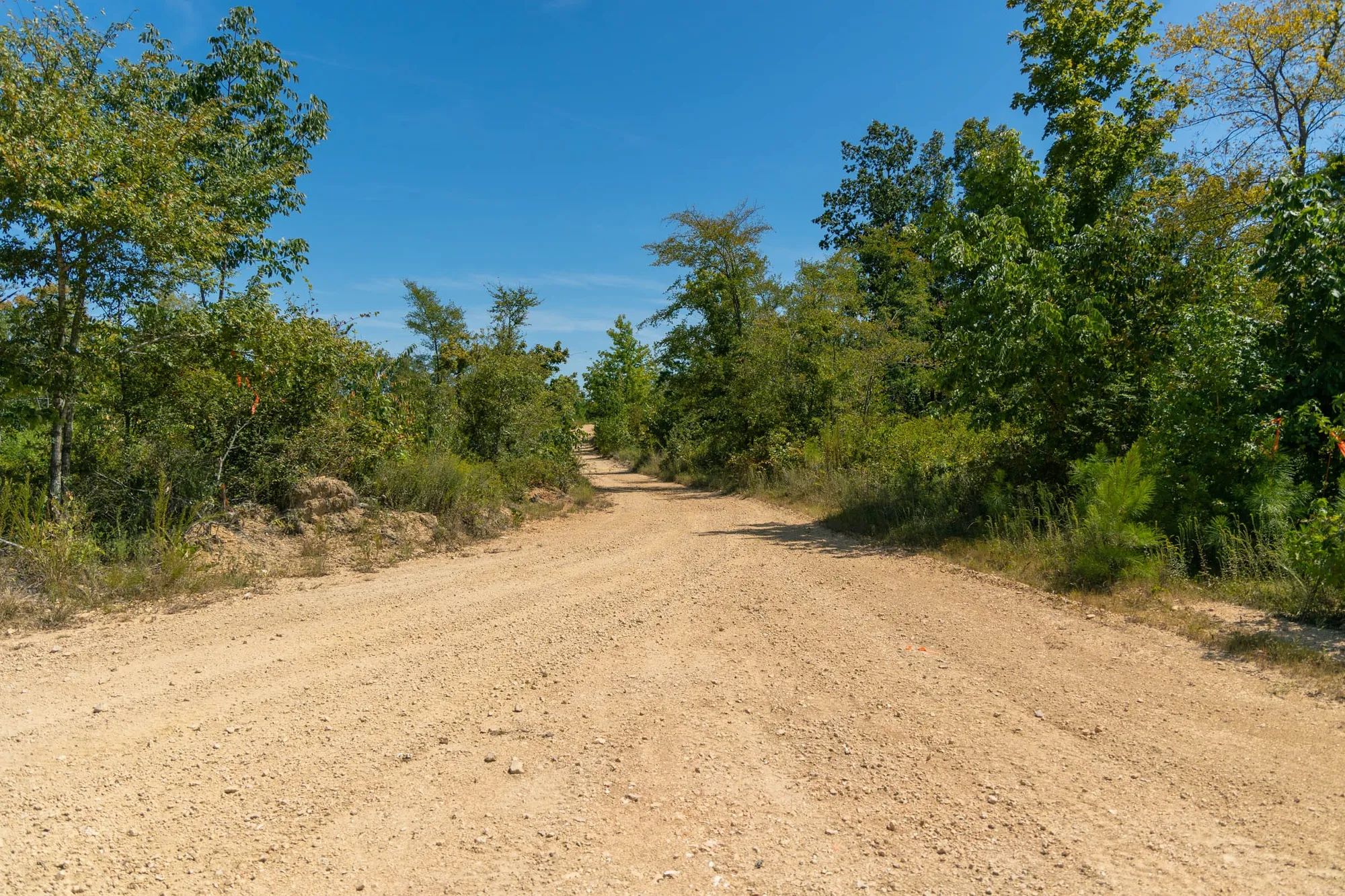 Big White Oak Tract 49 in Perry County, TN