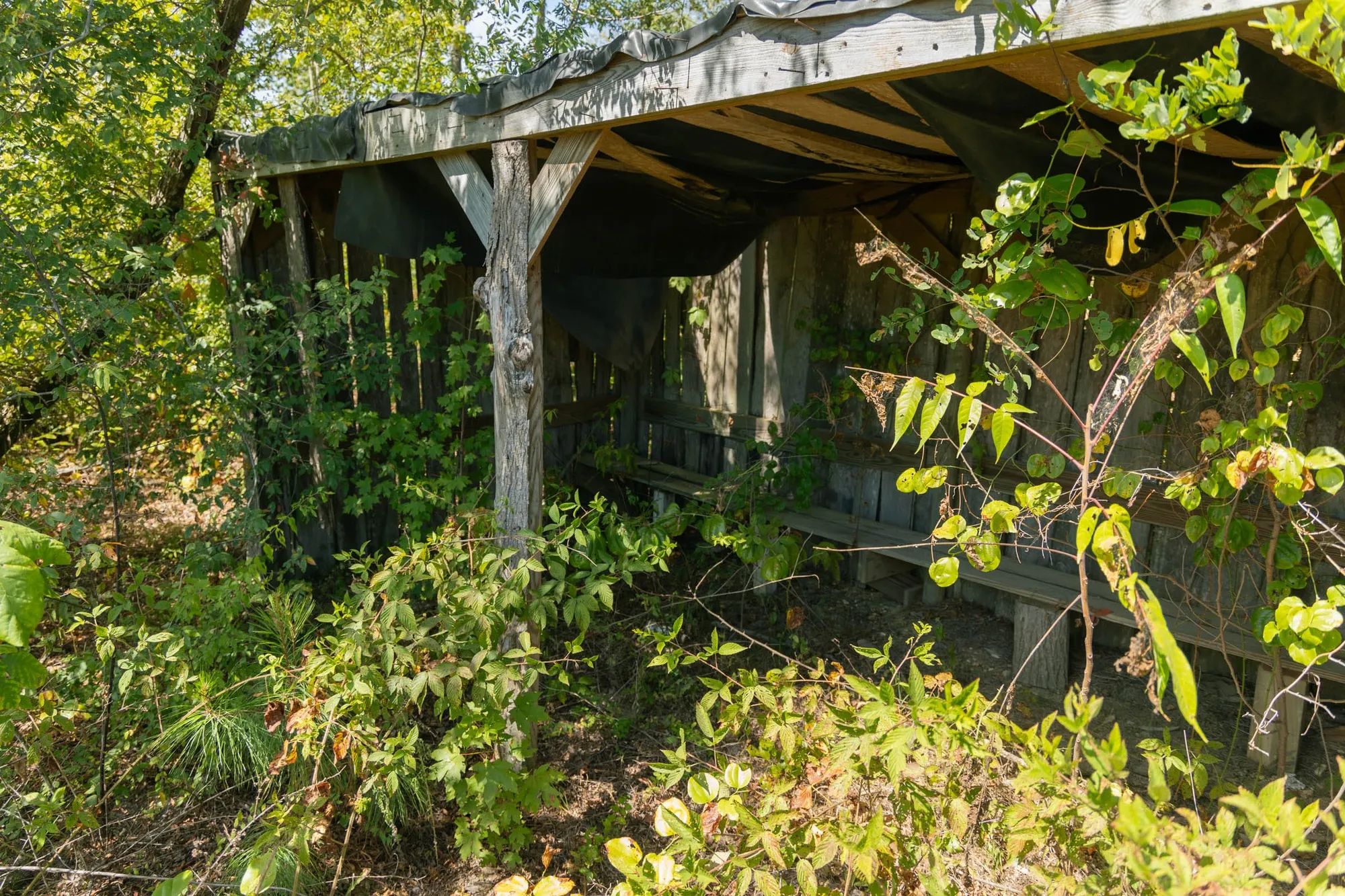 Big White Oak Tract 49 in Perry County, TN