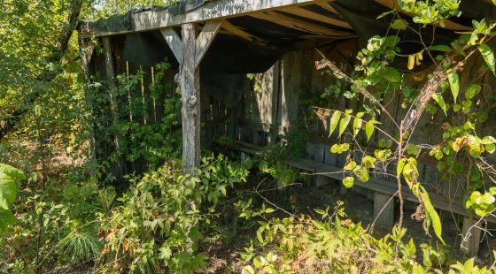 Big White Oak Tract 49 in Perry County, TN