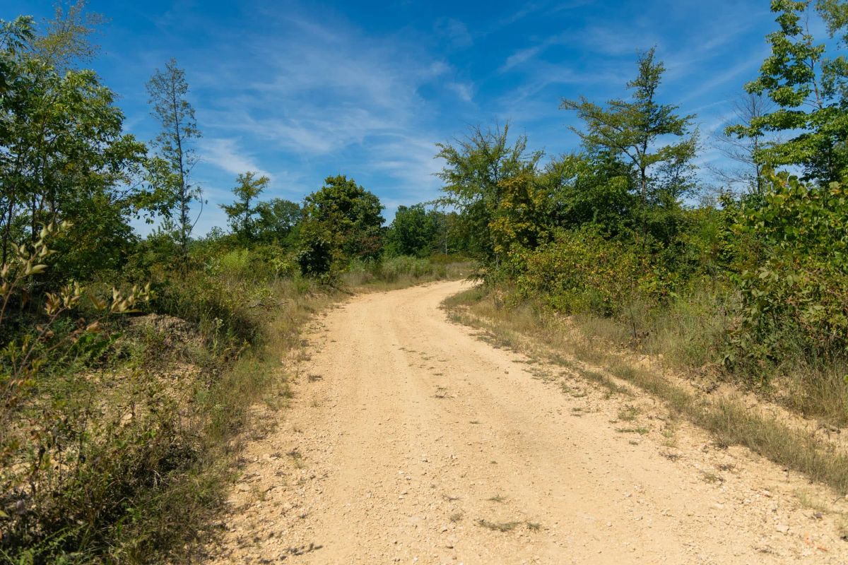 Decorative background for Big White Oak Tract 49 image 5