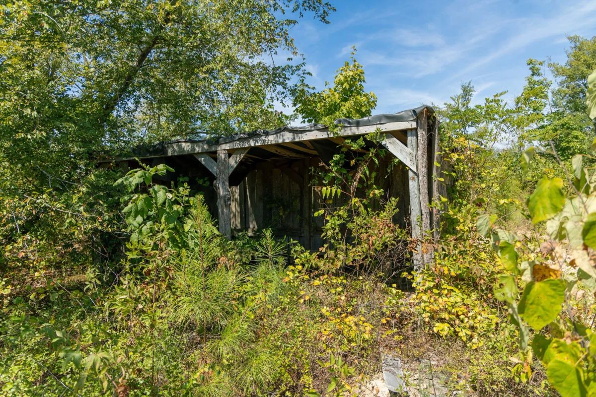 Decorative background for Big White Oak Tract 49 image 7