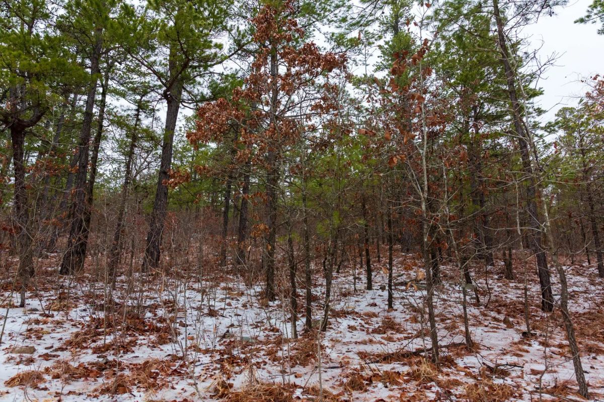 Decorative background for Stone Bridge Phase IV Tract 264 image 9
