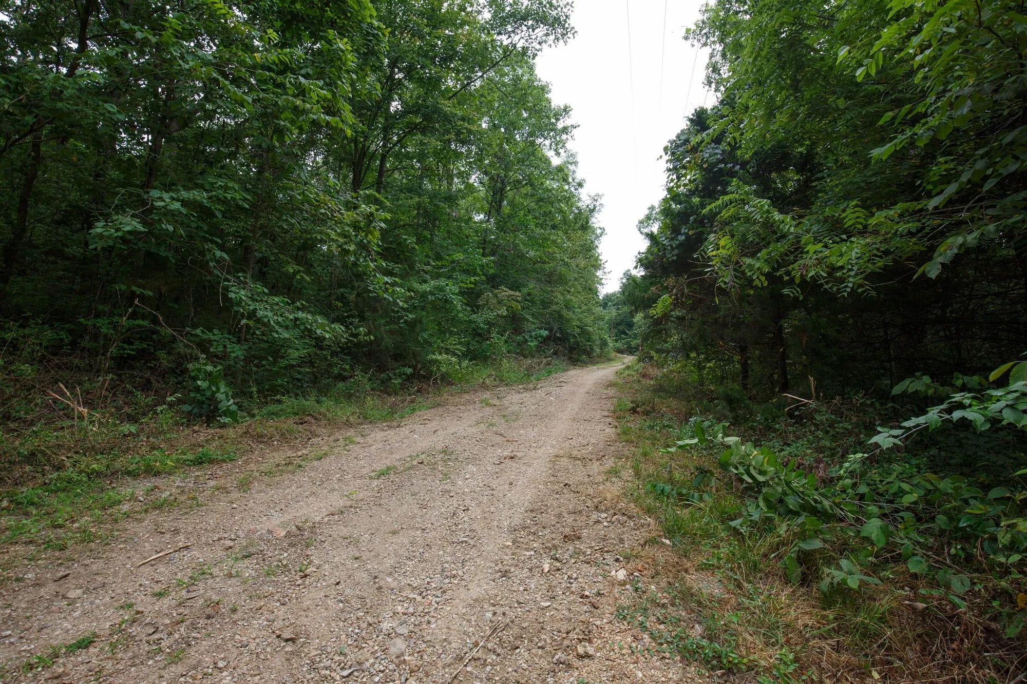 Spring Lake Plat 4 Tract 129 in Miller County, MO