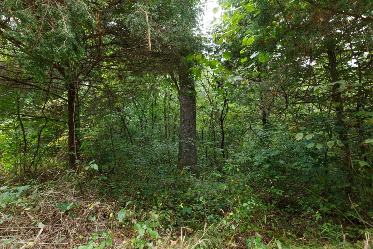 Spring Lake Plat 4 Tract 129 - Image 2