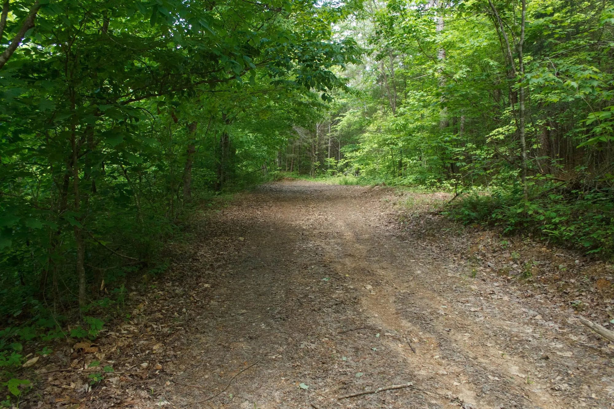 Riverbend Tract 3 in Wayne County, KY