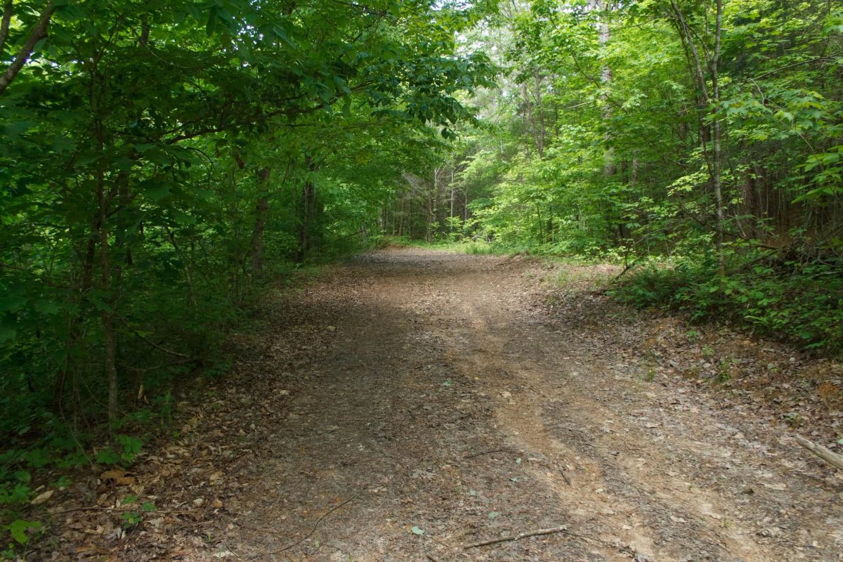 Riverbend Tract 3 - Main image