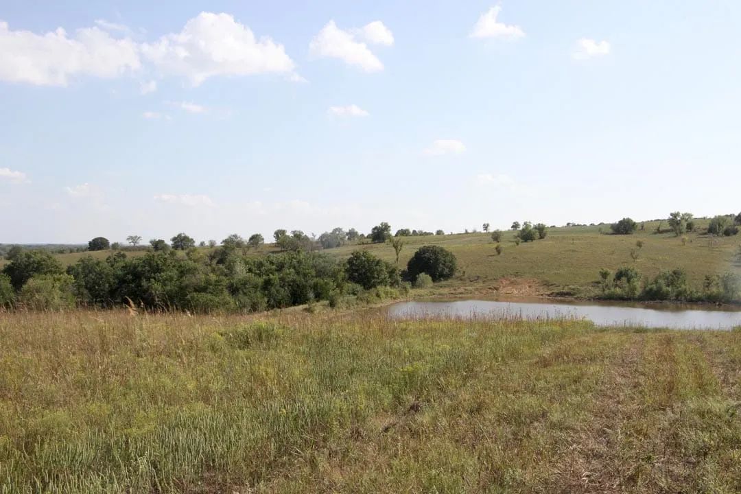 Cowboy Meadows Tract 25 - Main image