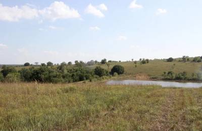 Cowboy Meadows Tract 25