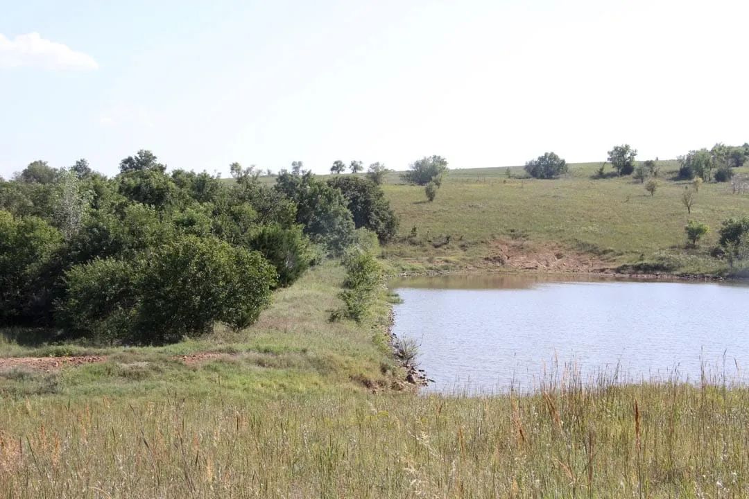Cowboy Meadows Tract 25 - Image 4