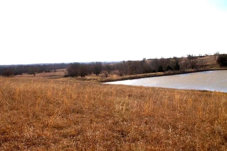 Decorative background for Cowboy Meadows Tract 25 image 5