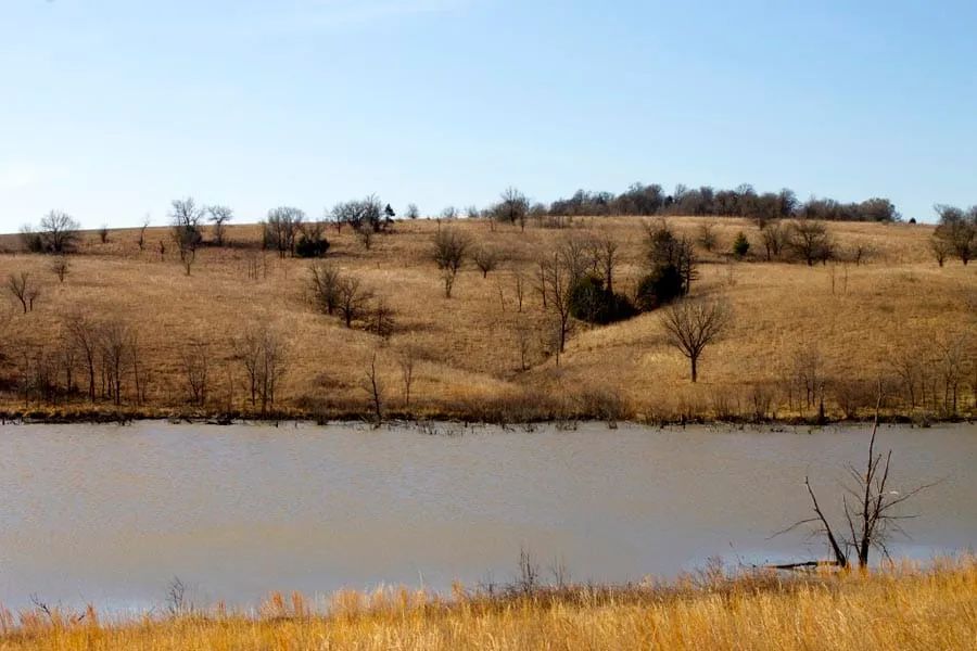 Decorative background for Cowboy Meadows Tract 25 image 6