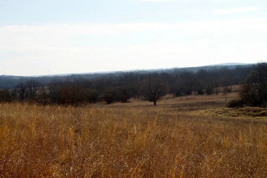 Decorative background for Cowboy Meadows Tract 25 image 7
