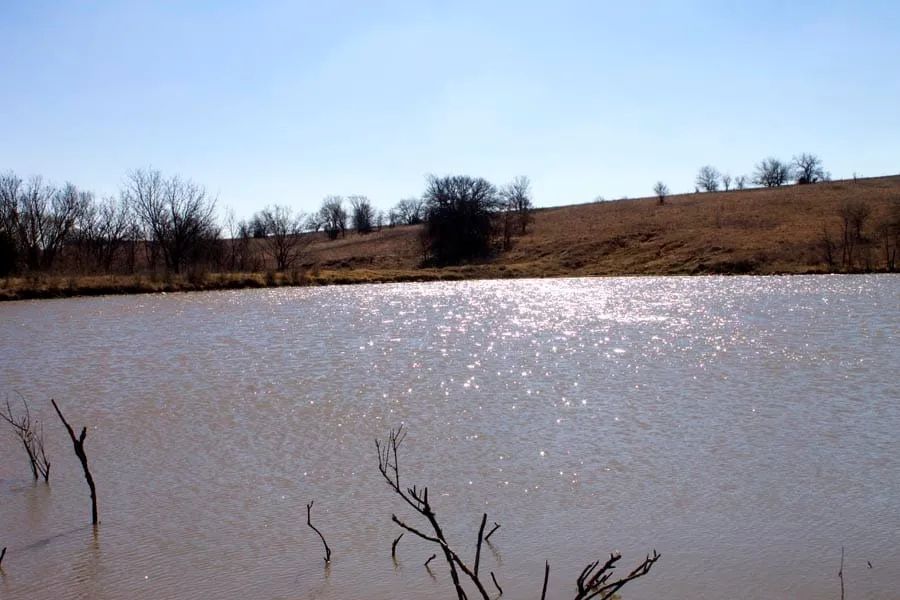 Decorative background for Cowboy Meadows Tract 25 image 11