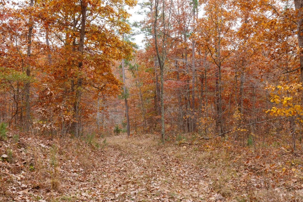 Decorative background for Hawkcrest Tract 19 image 5