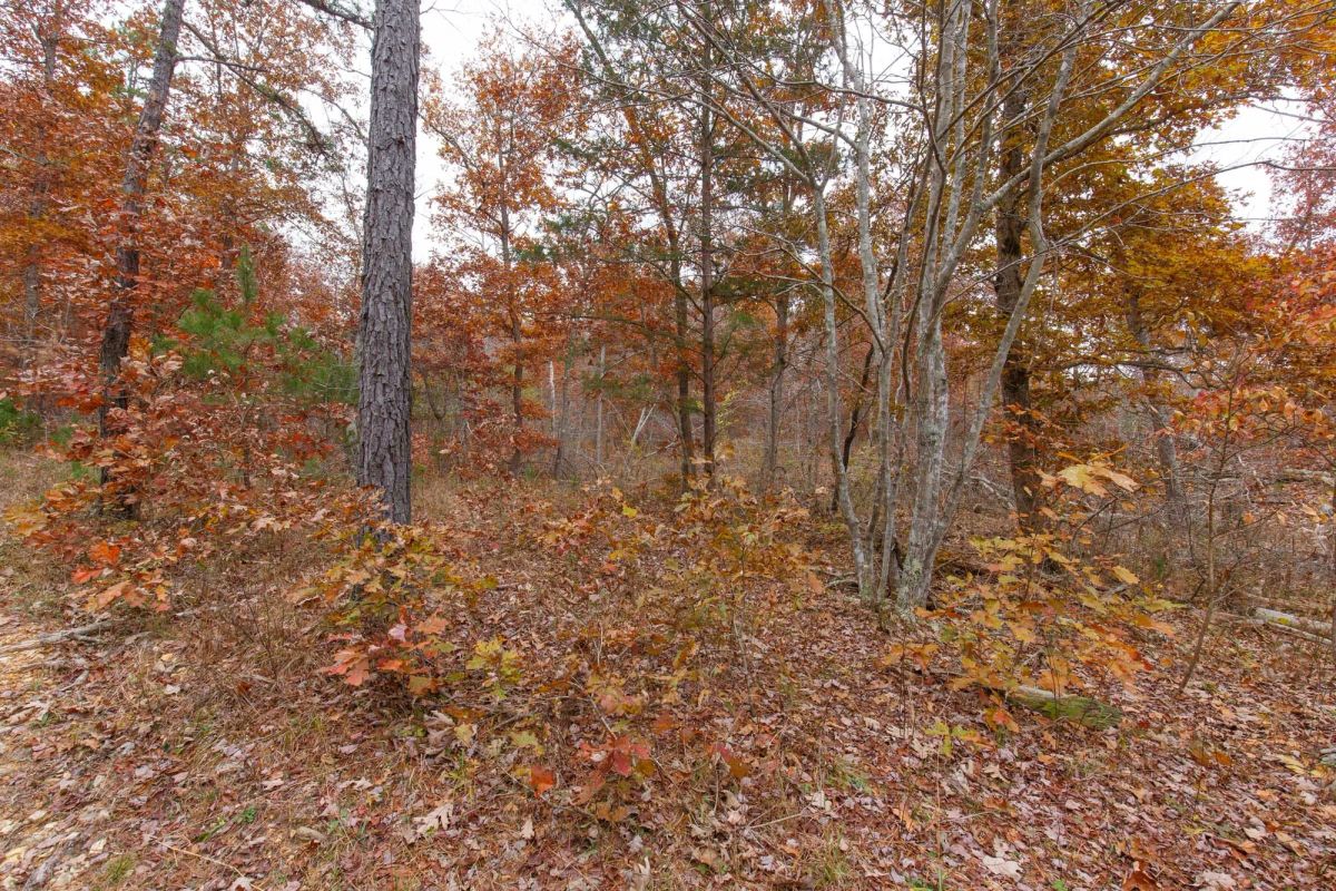 Decorative background for Hawkcrest Tract 19 image 6
