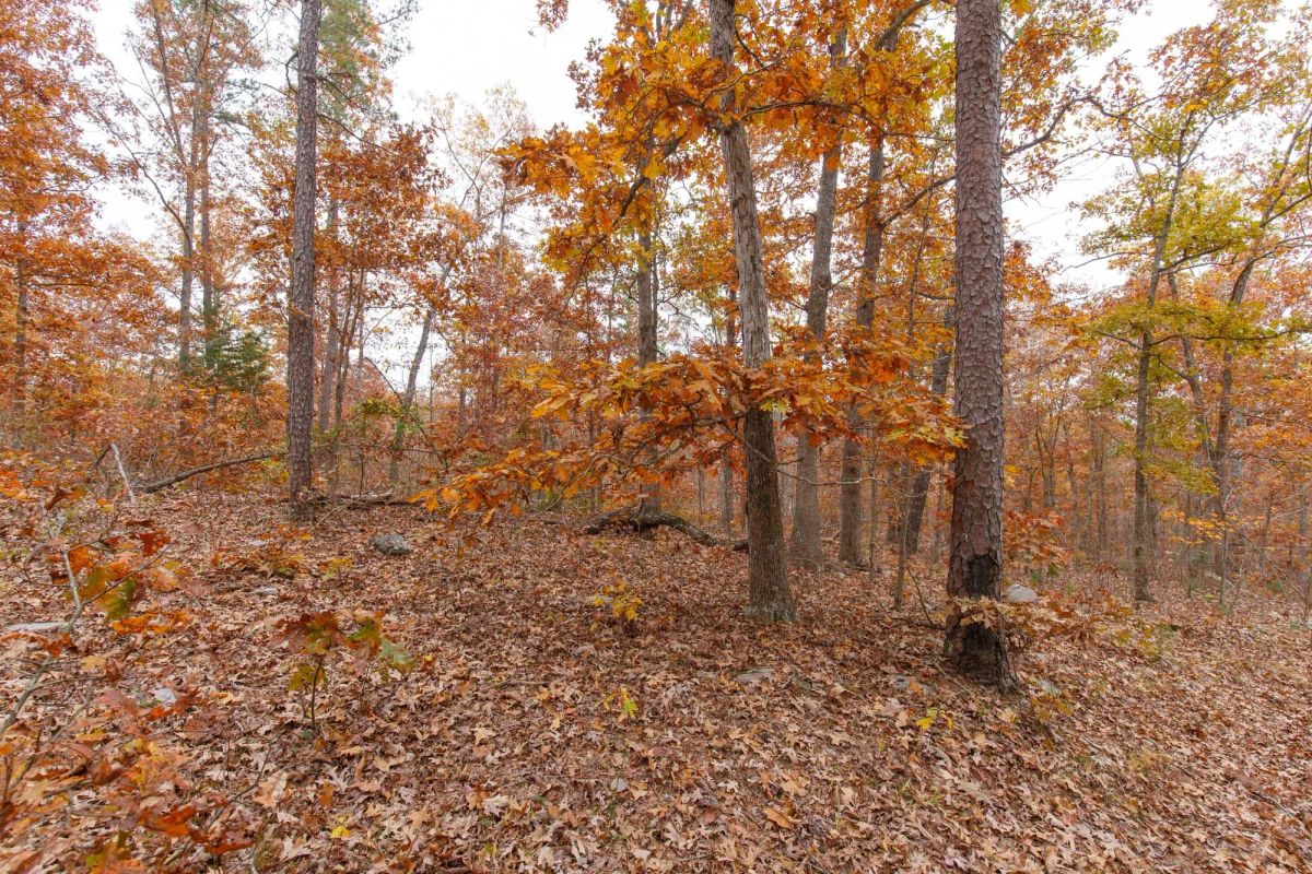Decorative background for Hawkcrest Tract 19 image 7