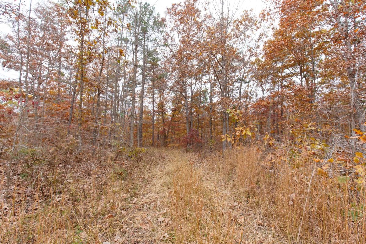Decorative background for Hawkcrest Tract 19 image 8