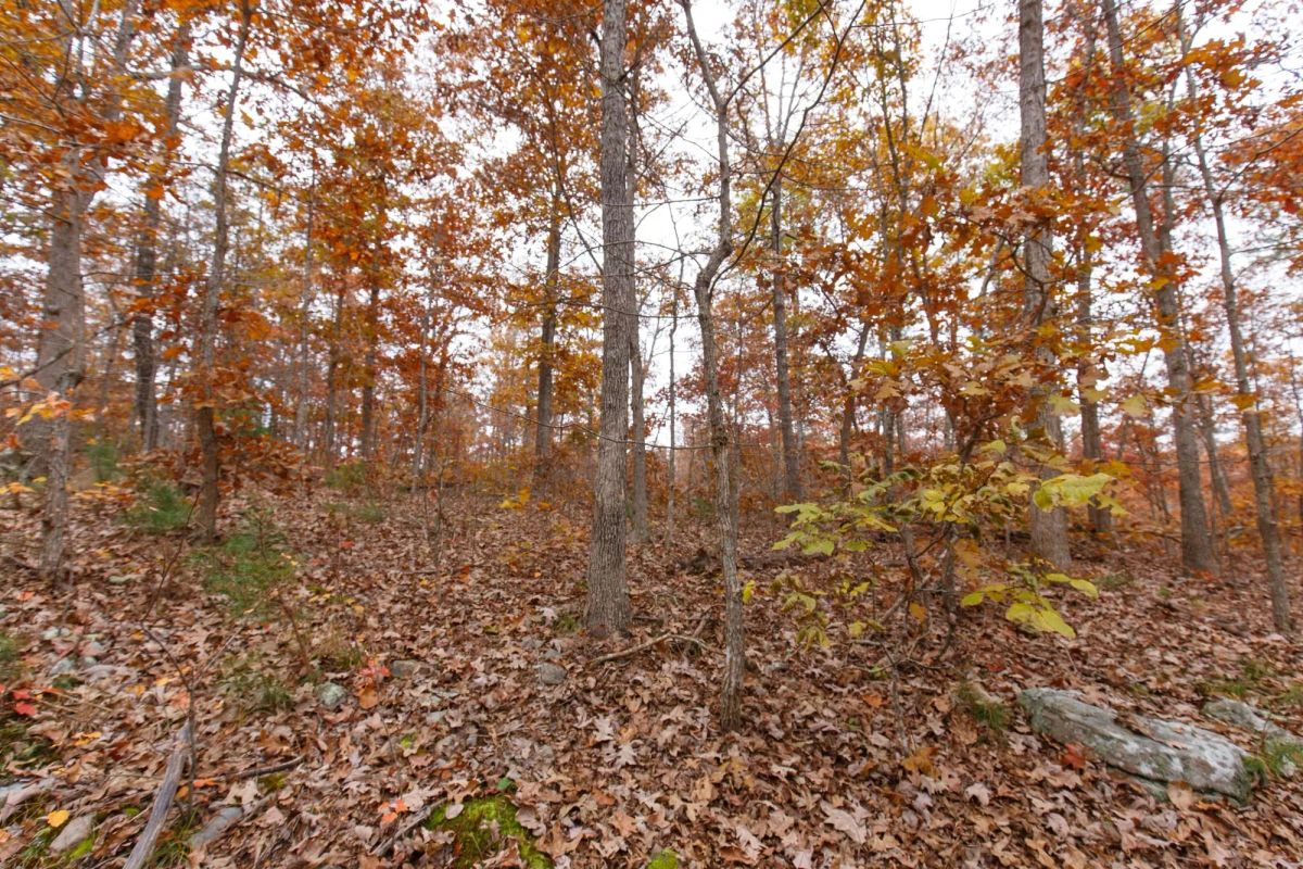 Decorative background for Hawkcrest Tract 19 image 9